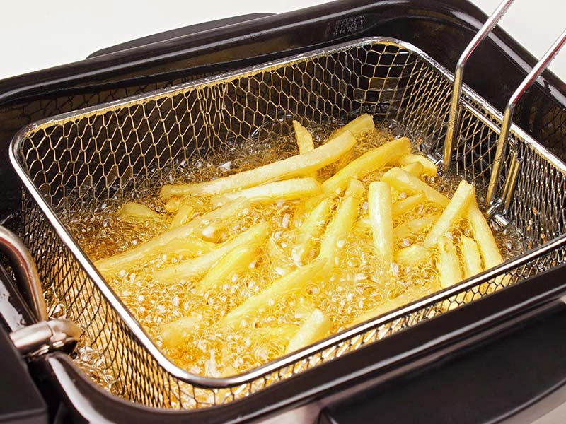 friteuse électrique